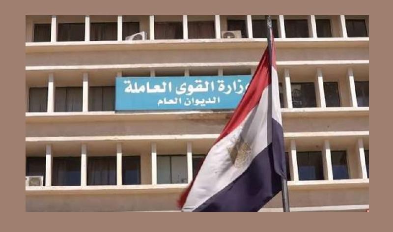 ”وزارة العمل”: جولة تفقدية لمواقع العمل في أسيوط والإسماعيلية