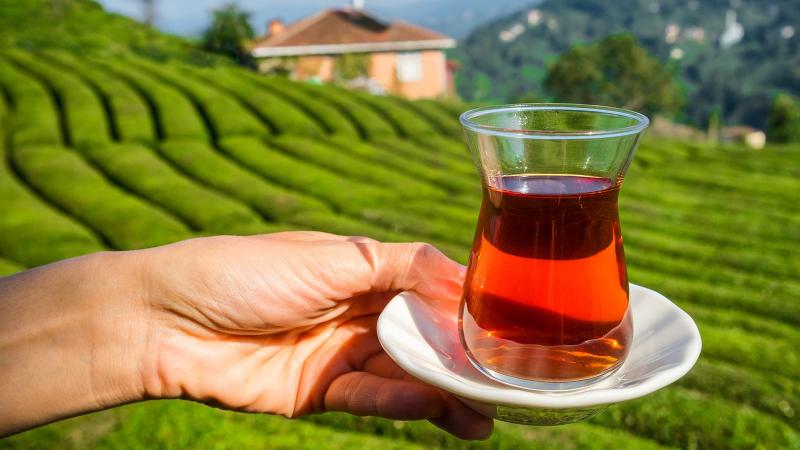 «علاج للأمراض الروماتيزمية والمناعية».. استشاري تُعدد فوائد الشاي