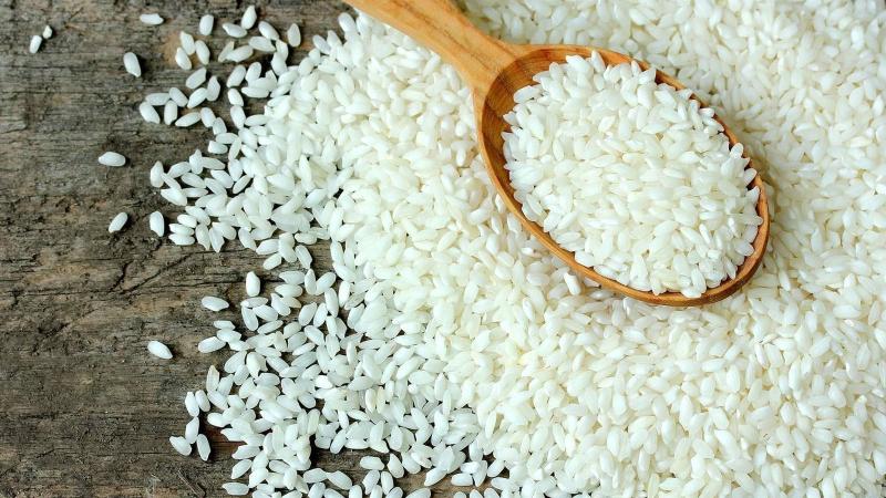غرفة صناعة الحبوب: نتوقع انخفاض سعر الأرز قريبا