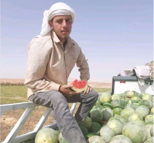 طبيب يحمل البطيخ بأحد المزارع بالوادي الجديد ونشطاء: «ده اللي هيحس بالناس الشقيانة»