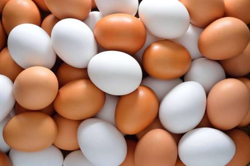 اتحاد منتجي الدواجن يعلن ارتفاع أسعار البيض البلدي اليوم في الأسواق