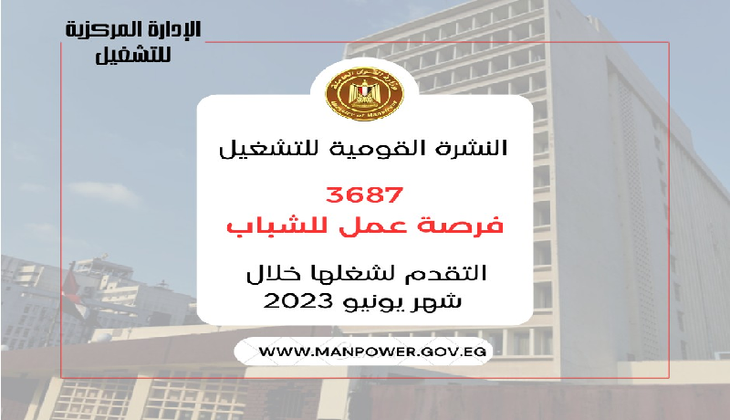 ”القوى العاملة” تُعلن 3687 فُرصة عمل في 12 محافظة