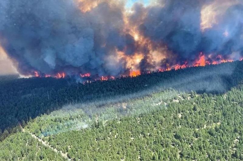 حرائق الغابات في كندا 