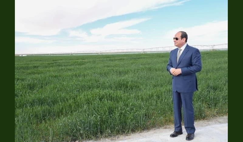 اقتصادي: مصر شهدت نهضة زراعية ضخمة في عهد الرئيس السيسي