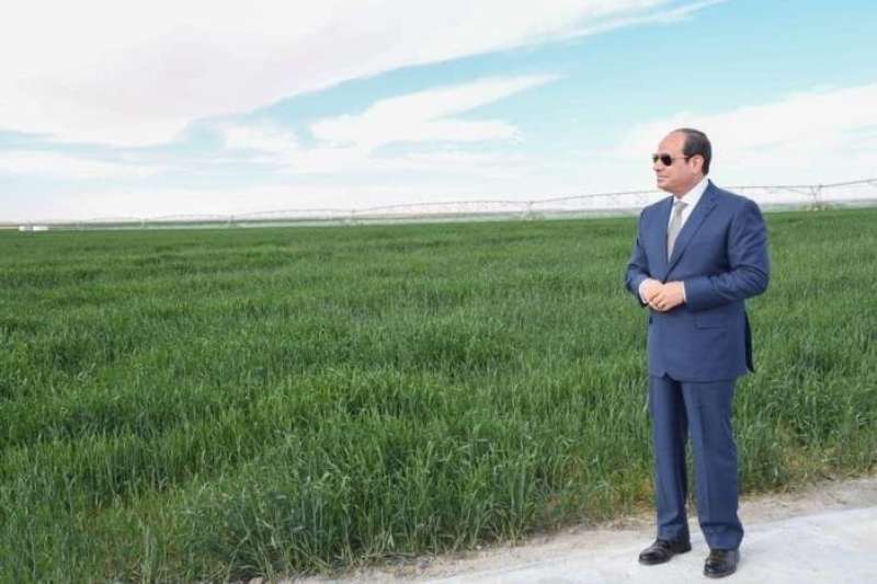 اقتصادي: مصر شهدت نهضة زراعية ضخمة في عهد الرئيس السيسي