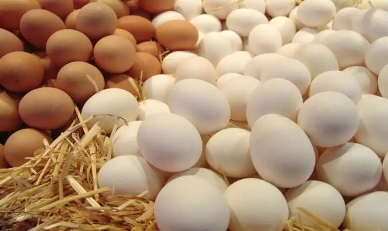 اتحاد منتجي الدواجن يعلن ارتفاع أسعار البيض بالأسواق
