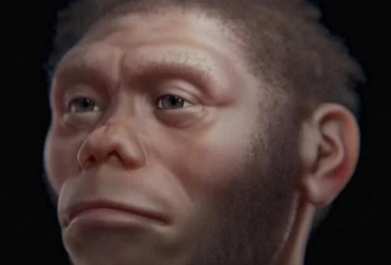«يشبه القرد».. إعادة بناء وجه أقدم إنسان على الأرض بالذكاء الاصطناعي