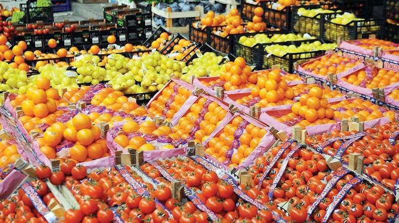 اقتصادي: حجم صادرات مصر الزراعية تجاوز 4.1 ملايين طن خلال 5 أشهر