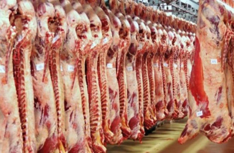 أسعار اللحوم البلدي والمستوردة في الأسواق اليوم الخميس