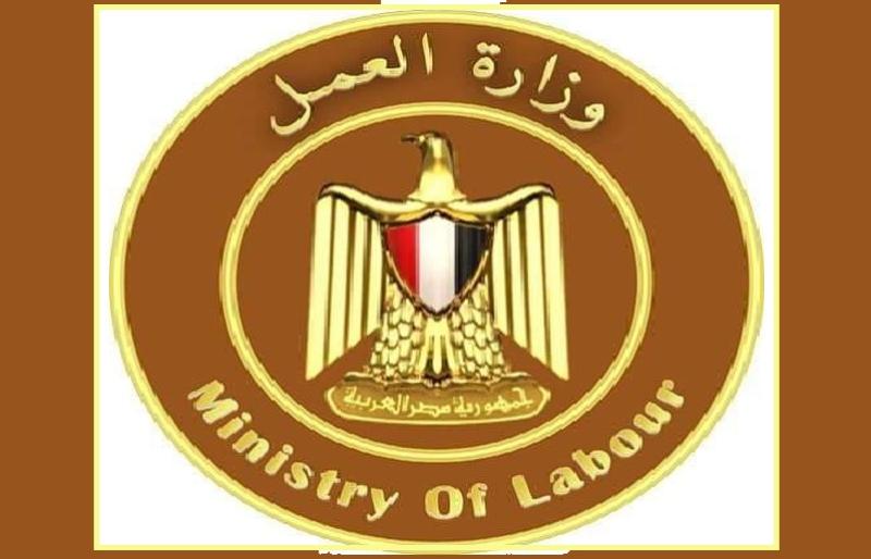 وزارة العمل:  دولة 30 يونيو تنتصر لقضايا العمل