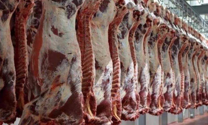 «الصحة» توضح مواصفات اللحوم الطازجة وعلامات الفاسدة