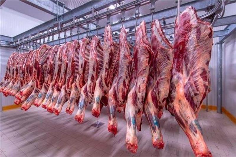 قبل عيد الأضحى.. أسعار اللحوم في الأسواق اليوم 27-6-2023
