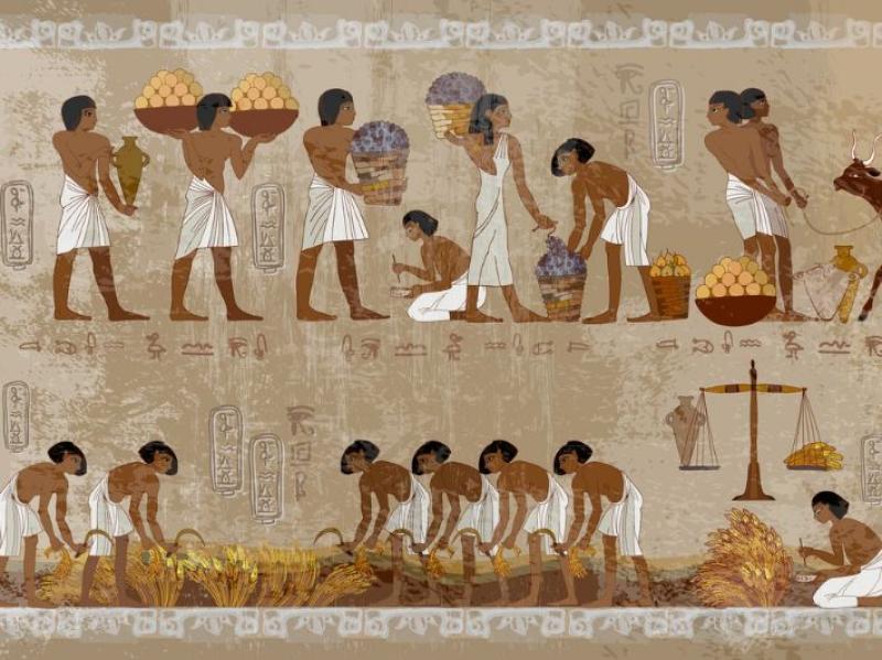 الزراعة في مصر القديمة 