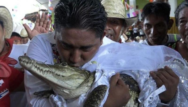 المسؤول المكسيكي يقبل عروسه