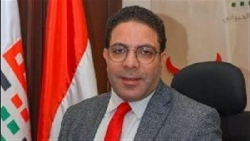 محمد الجمال: عودة العلاقات المصرية التركية يعزز التعاون ويخلق فرص استثمارية