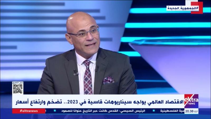  الدكتور ماجد عبد العظيم، أستاذ الاقتصاد