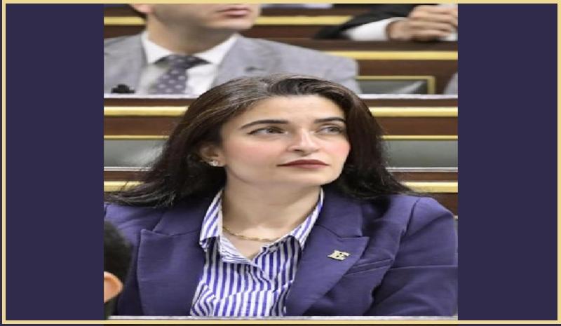 النائبة إيرين سعيد تقدم كشف حساب عن دور الانعقاد الثالث في مجلس النواب