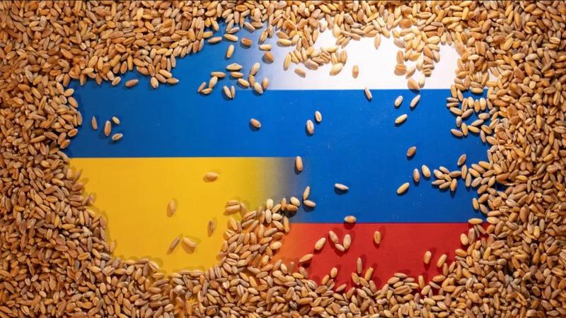ارتفاع أسعار القمح عالميا بعد انسحاب روسيا من اتفاق الحبوب