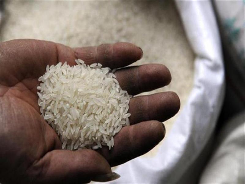 شعبة الأرز: على المواطنين عدم الاستماع لشائعات ارتفاع الأسعار