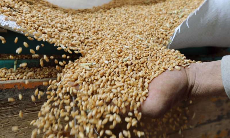 انسحاب روسيا من اتفاق تصدير الحبوب 