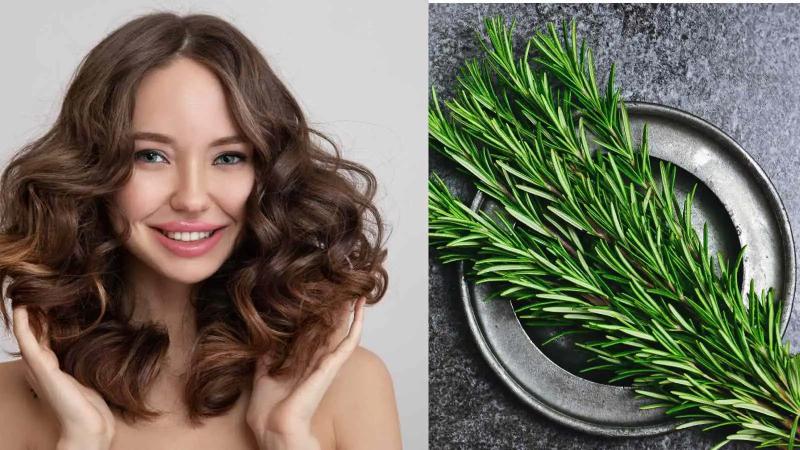 تحفيز نمو الشعر.. 4 فوائد لعشب الروزماري لصحة الشعر