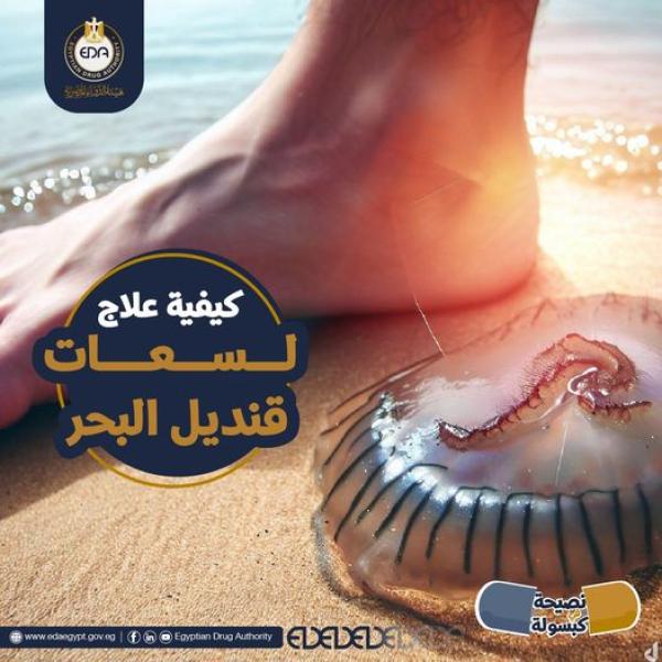 هيئة الدواء المصرية علاج لسعات قنديل البحر