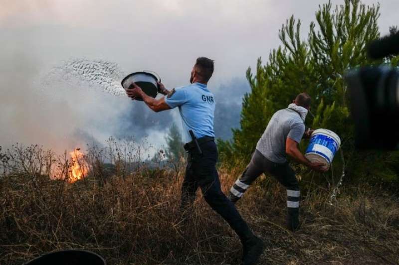 مئات من رجال الإطفاء يتبارون لإخماد حرائق الغابات في البرتغال