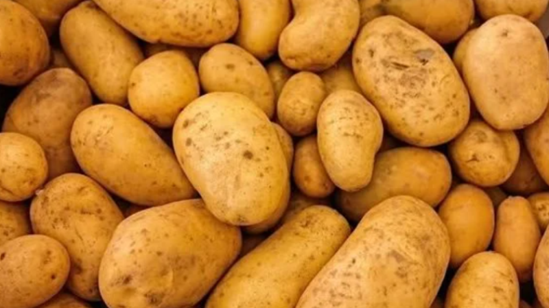 «التصديري للحاصلات الزراعية» يكشف حجم التصدير من محصول البطاطس