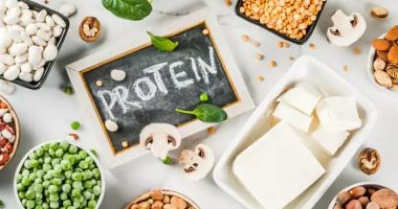 فوائد حمية البروتين