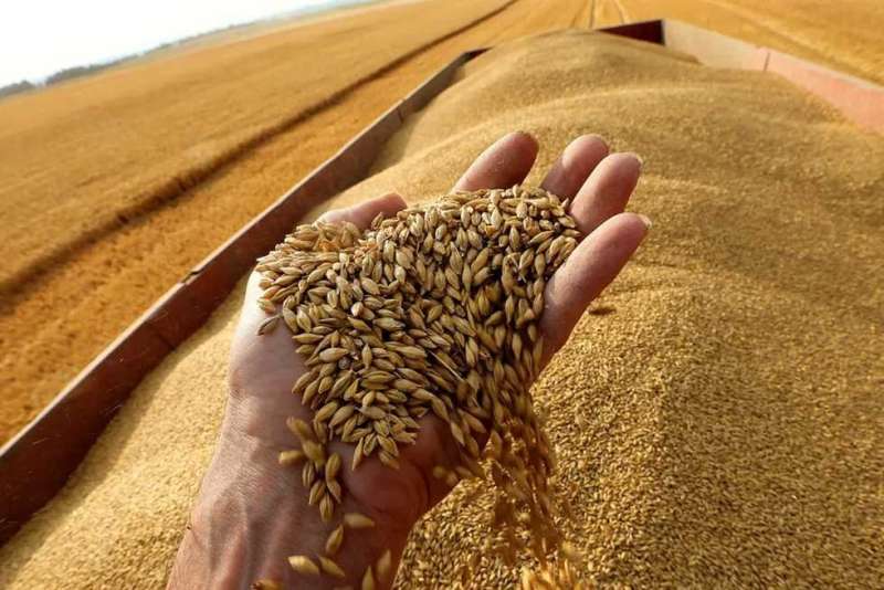 قرار انسحاب روسيا من اتفاقية الحبوب 