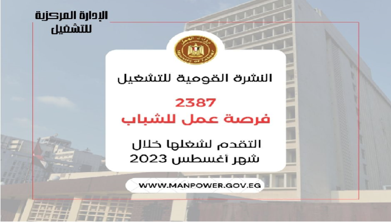 وزارة العمل: 2387 فرصة عمل في 36 شركة بـ9 محافظات.. منها لذوي همم