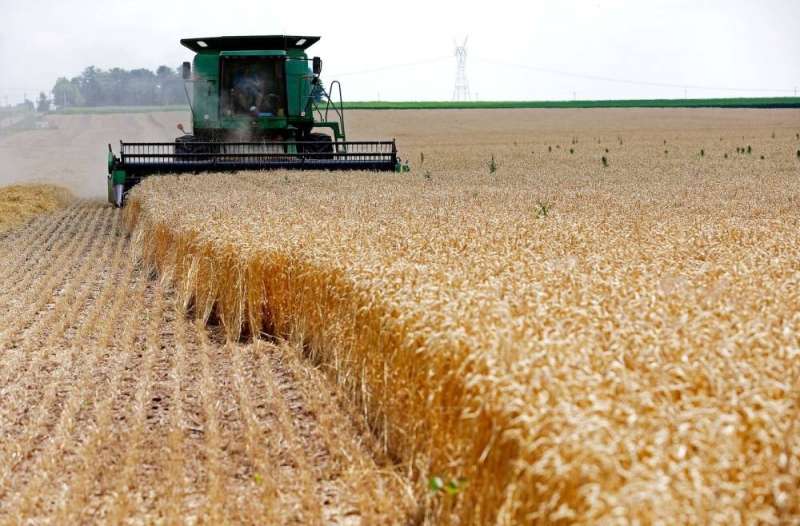 بعد انسحاب روسيا.. صناعة الحبوب: مخزون القمح يكفي لأكثر من 5.5 أشهر
