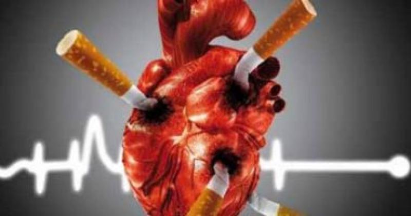 تأثير التدخين على صحة القلب والدماغ