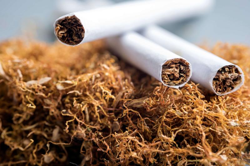  35.8 مليون دولار صادرات مصر من السجائر والتبغ