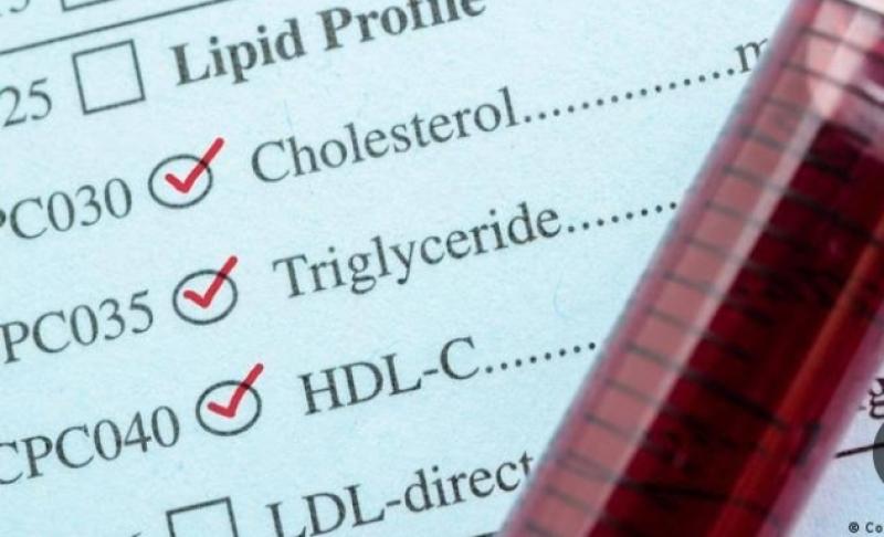 أطباء القلب يحذرون: زيادة «الكولسترول» الخطر الأكبر على صحة المصريين