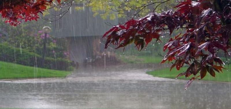 الأرصاد: سقوط أمطار خلال الأيام المقبلة