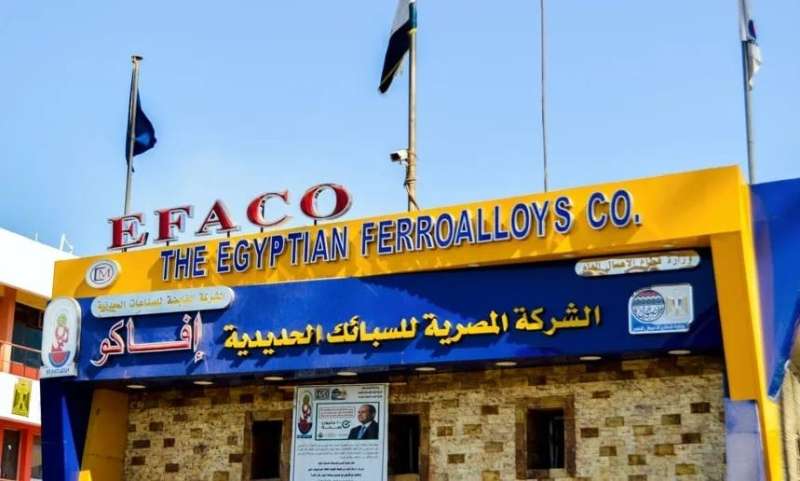 وزير قطاع الأعمال: تصدير 80% من إنتاج الشركة المصرية للسبائك الحديدية «إيفاكو»