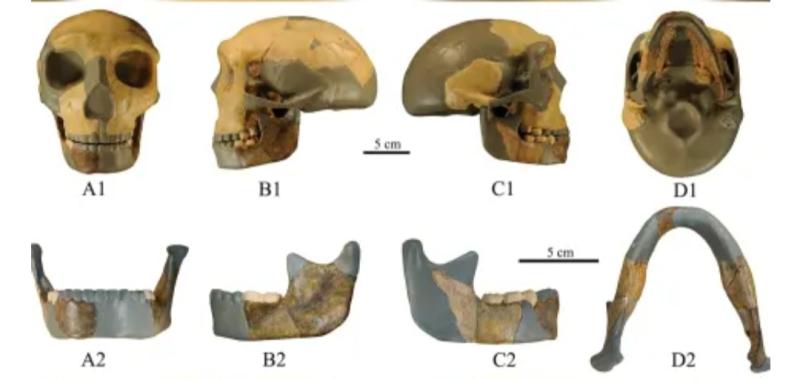 ما دلالات العثور على جمجمة أشباه البشر في الصين؟.. اكتشاف حير العلماء