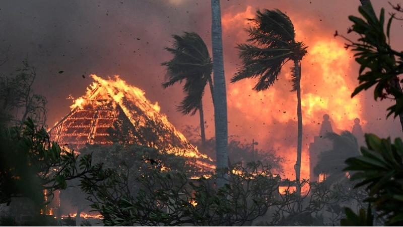 هاواي.. مقتل 93 شخصًا في أكثر حرائق الغابات دموية بالقرن