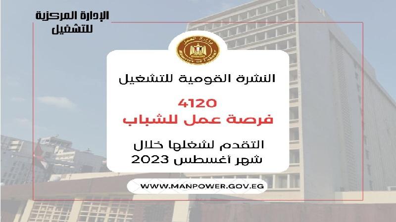 وزارة العمل: 4120 فرصة عمل في 38 شركة خاصة داخل 11 محافظة