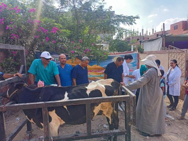 قافلة بيطرية في الوادي الجديد