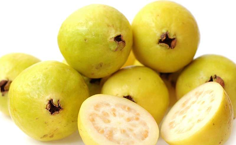ثمرة الجوافة 