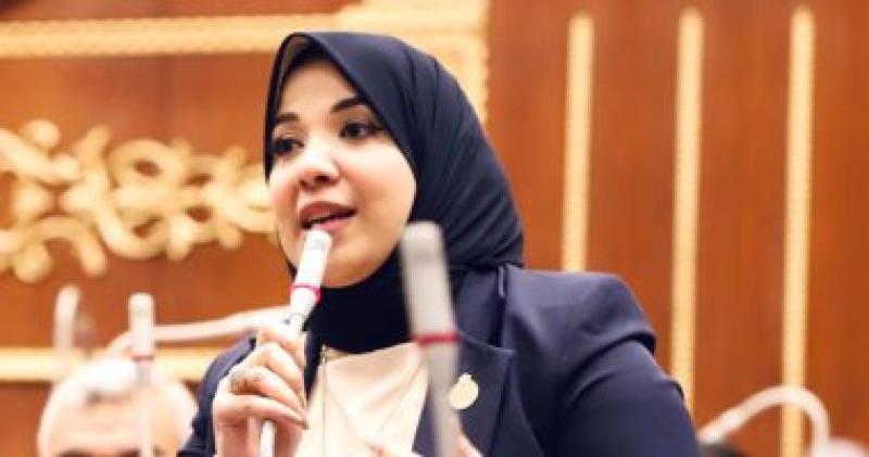 برلمانية: قرارات لجنة العفو الرئاسي تستهدف لم شمل المصريين