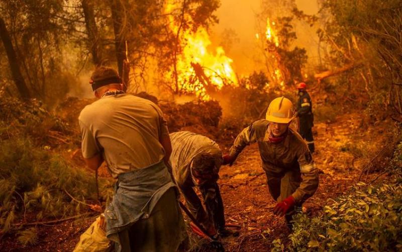 العثور على جثث وسط الغابات المحترقة في اليونان