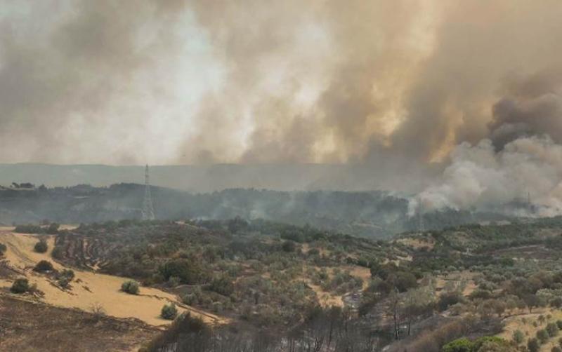 حرائق الغابات في شمال غرب تركيا