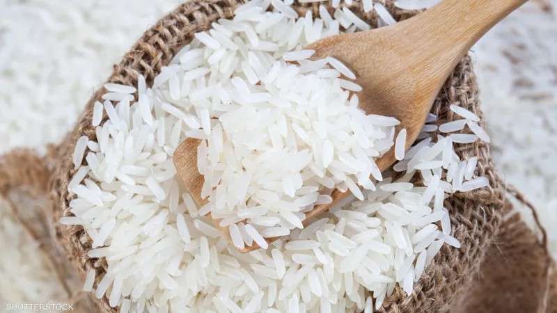 بعد حظر الأرز الأبيض.. الهند تضع حدا أدنى لسعر تصدير «البسمتي»
