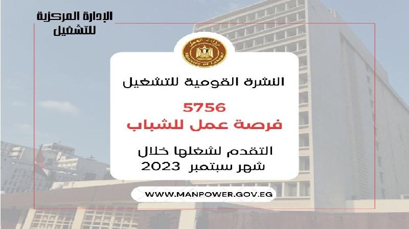 وزارة العمل: 5756 فرصة عمل في 32 شركة خاصة بـ12 محافظة