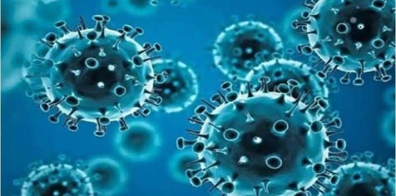كل ما تريد معرفته عن فيروس «بيرولا».. أعراضه والدول المنتشر بها