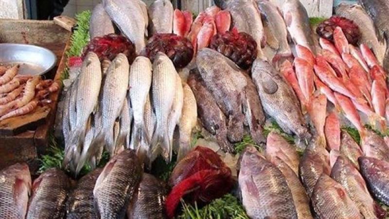الجمبري بـ 250 جنيهًا.. أسعار السمك في مصر اليوم 4-9-2023