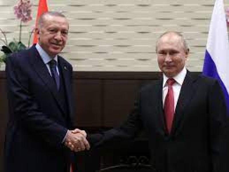 بوتين ل«أردوغان»: روسيا مستعدة لمناقشة صفقة الحبوب